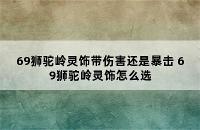 69狮驼岭灵饰带伤害还是暴击 69狮驼岭灵饰怎么选